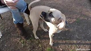 272 solo porn videos